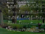 Lullaby_of_the_Leaves